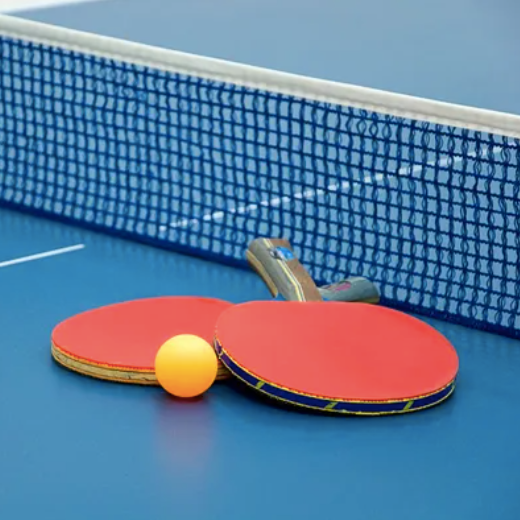Table de Ping Pong Intérieure / Extérieure, 274 x 152,5 x 76 cm